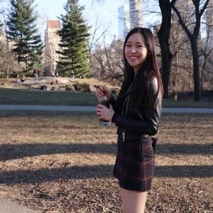 Aritzia Mini Skirt Plaid Size 0